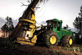 Forestry